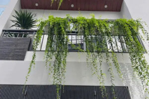 💥🌈NHÀ ĐẸP BÀN GIAO FULL NỘI THẤT – TÂN BÌNH – 42M2 – GIÁ 5.95 TỶ TL 🌼🎊