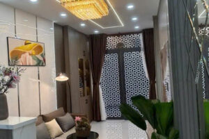 HOT🔥😍🏡RA MẮT NHÀ ĐẸP QUẬN 6 – P12 – 46M2 – GIÁ 5.35 TỶ💰🎉